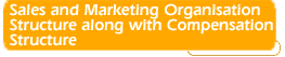 Sales and Marketing
Organisation Structure along with Compensation Structure